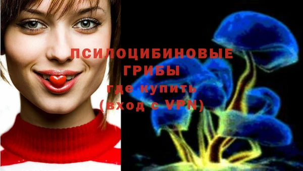 прущие грибы Алзамай