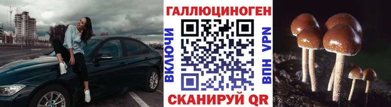 Галлюциногенные грибы мицелий Юрьев-Польский